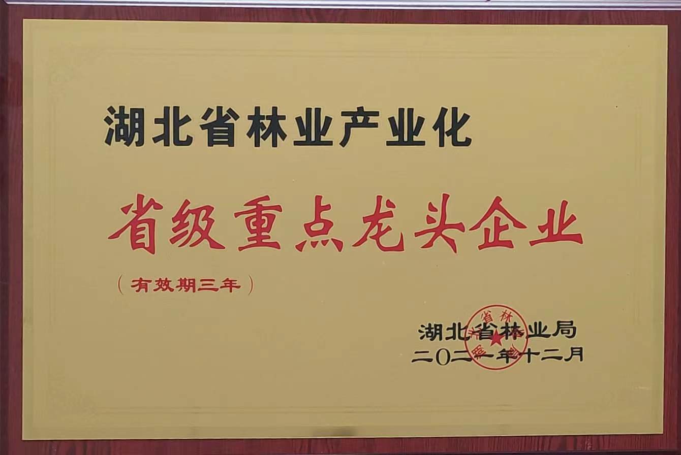 省林業(yè)產(chǎn)業(yè)化重點龍頭企業(yè)（2021.12）.jpg