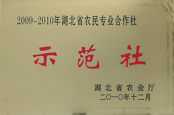 農(nóng)民專業(yè)合作社示范社